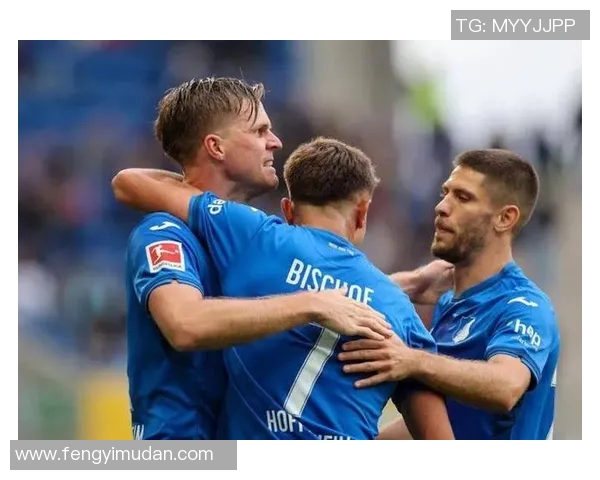 霍芬海姆重燃德甲之火，赢得关键胜利！